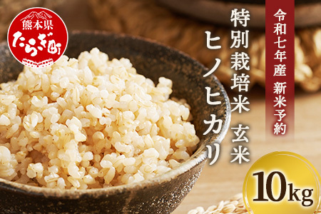 【令和7年 新米予約】特別栽培米「ヒノヒカリ 玄米」10kg 井上農園 10月より順次出荷 熊本県 お米 米 精米 ひのひかり 玄米 国産 114-0602