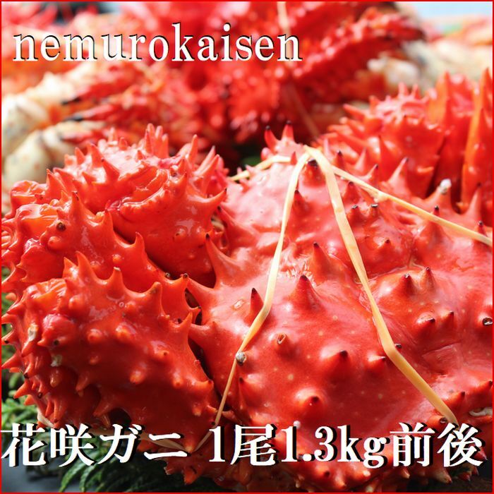 【ふるさと納税】 [北海道根室産] 花咲ガニ 1.3kg 前後 花咲がに 花咲 花咲かに 花咲蟹 かに カニ 蟹 お取り寄せ グルメ 海鮮 北海道 根室市 ふるさと納税 D-57038
