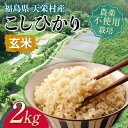 【ふるさと納税】自然農法で育ったお米「こしひかり」玄米2kg F21T-142