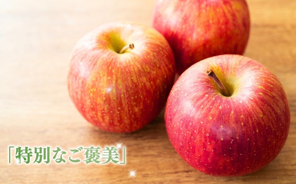 りんご サンふじ 蜜入り 約 3kg