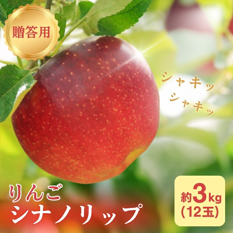 【ふるさと納税】りんご 長野 贈答用 リンゴ シナノリップ 約3kg （12玉） 産地直送 ギフト プレゼント 贈答 贈答品 贈り物 フルーツ 果物 デザート おやつ 林檎 旬 信州 長野県 長野県産　お届け：2025年8月中旬～8月下旬