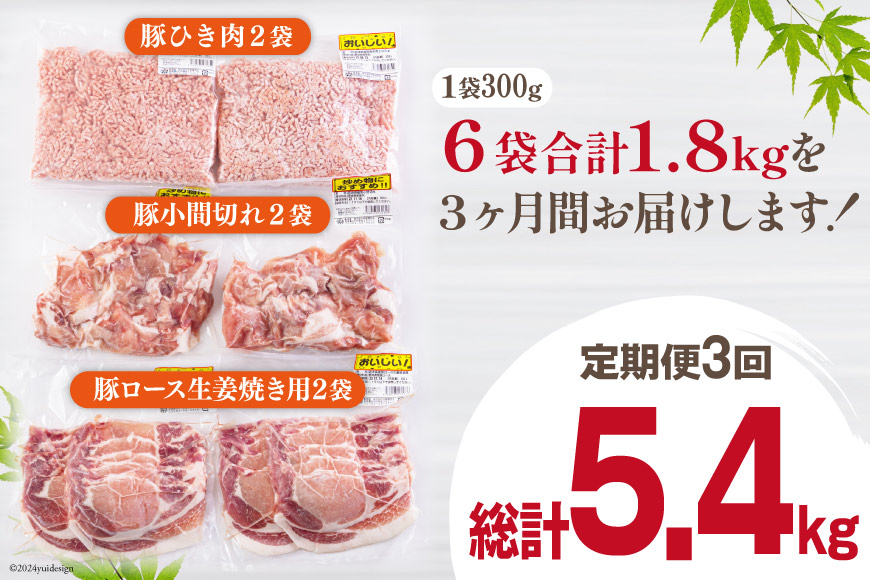 3回 定期便 宮崎県産 豚肉 ３種 セット ひき肉 こま切れ ロース生姜焼き用 小分け 合計5.4kg 各300g×2 [甲斐精肉店 宮崎県 美郷町 31as0067] 冷凍 宮崎県産 豚 肉 送料無