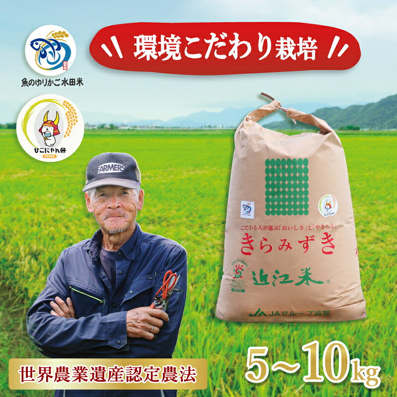 【ふるさと納税】 新米 きらみずき 白米 5kg / 10kg 環境こだわり栽培 ひこにゃん米 有機米 魚のゆりかご水田 菜の花米 精米 米 こめ ごはん ご飯 弁当 おにぎり 菜の花 有機 令和8年 R8年 発送 滋賀 彦根