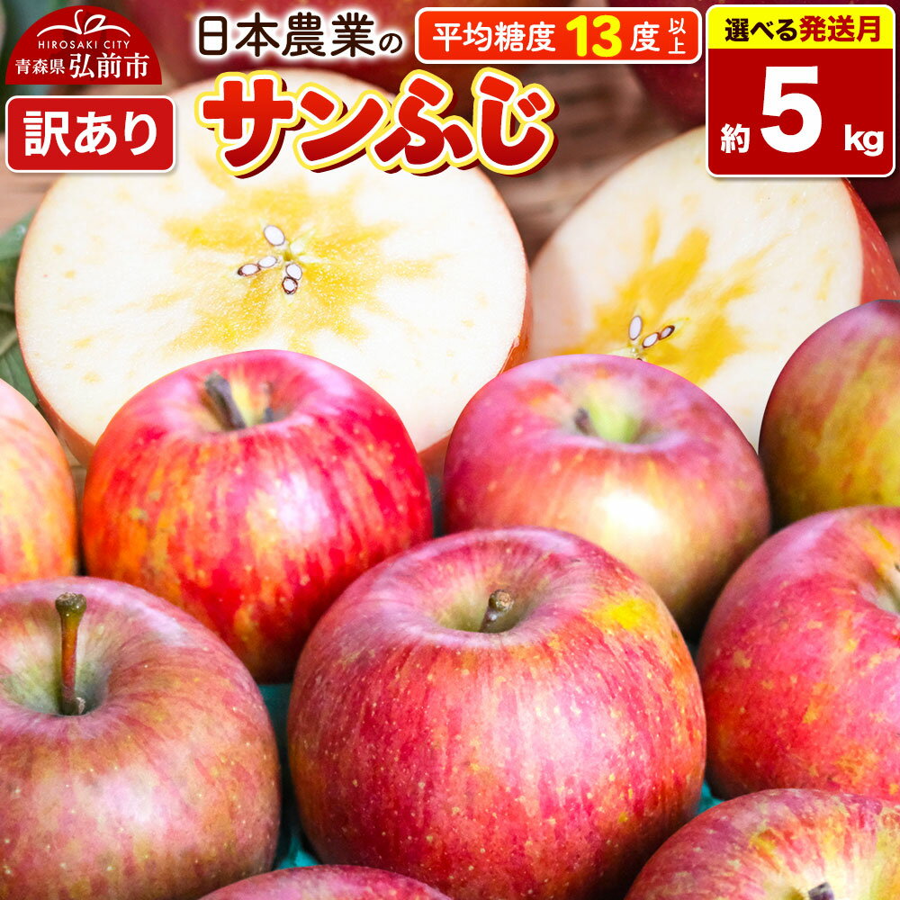 【ふるさと納税】りんご 平均糖度13度以上！ サンふじ 約5kg 訳あり【選べる発送月】青森 果物 フルーツ 林檎 リンゴ くだもの 不揃い 規格外