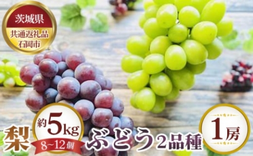 No.649 【先行予約】梨 約5kg（8～12個）とぶどう2品種×1房【茨城県共通返礼品 石岡市】 ／ 果物 なし ぶどう 茨城県