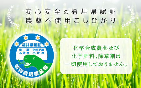 【中日賞受賞】農薬不使用 特別栽培米コシヒカリ10kg（5kg×2）【精米】福井県認証区分1取得「田んぼの天使」 [e10-d005]