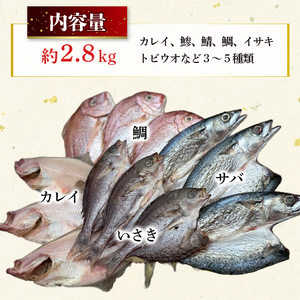 【訳あり】 干物 約2.8kg 詰め合わせ 干物
