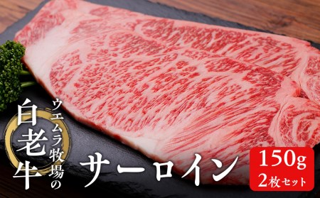 ウエムラ牧場の白老牛サーロイン150g×2枚セット 和牛 牛肉 ステーキ サーロインステーキ 肉料理 北海道ふるさと納税
