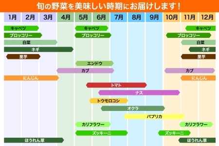 旬の野菜セットMサイズ (約8~9品)