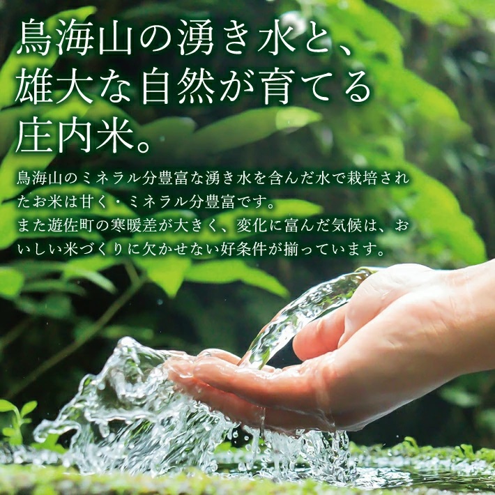 遊佐町産ひとめぼれ5kg （令和6年産米）11月上旬