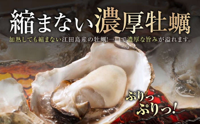 牡蠣 かき カキ むき身 冷凍牡蠣 広島牡蠣 オイスター kaki 広島県産