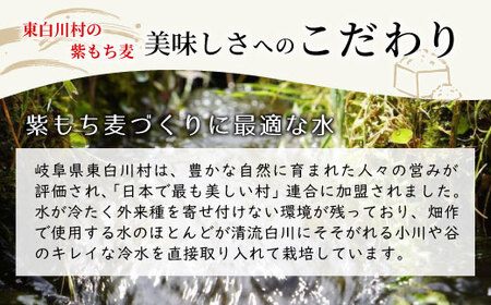【令和7年度産】 東白川村産 紫もち麦 ダイシモチ 900g お米 こめ もち麦 雑穀 精米 ご飯 お取り寄せ