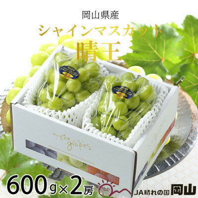 【ふるさと納税】【2026年7月中旬より順次発送】岡山県産 シャインマスカット 晴王 600g×2房_ シャインマスカット ぶどう 葡萄 ブドウ 果物 くだもの フルーツ 種なし 【配送不可地域：離島・北海道・沖縄県】【1365935】