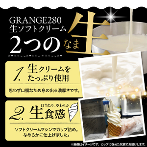 生ソフトクリーム【濃厚クリーム】計10個【GRANGE280】