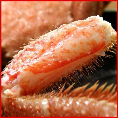 ふるさと納税 根室市 ＜12/21まで年内配送＞ボイル毛蟹800g前後×1尾 F-56010 |  | 01