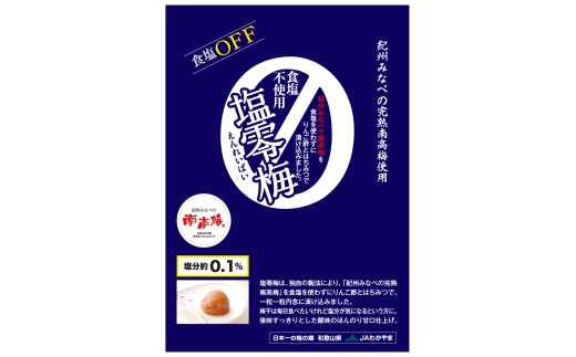 N073　塩零梅