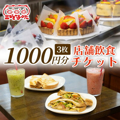 【ふるさと納税】【丸新の味をたっぷり満喫】パフェやケーキを堪能できる店舗チケット(1,000円 × 3枚)×1セット【1741299】
