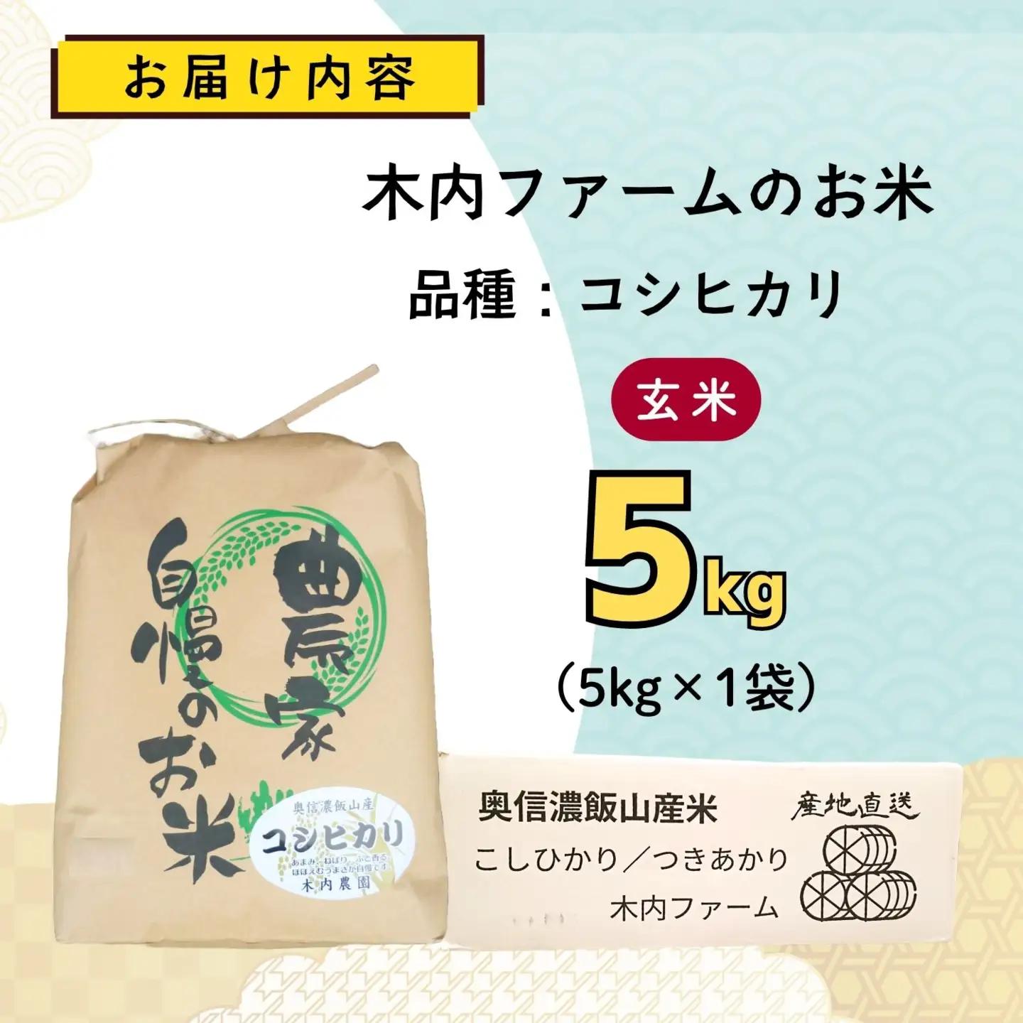 【新米予約】玄米 5kg コシヒカリ 木内ファーム コシヒカリ 
