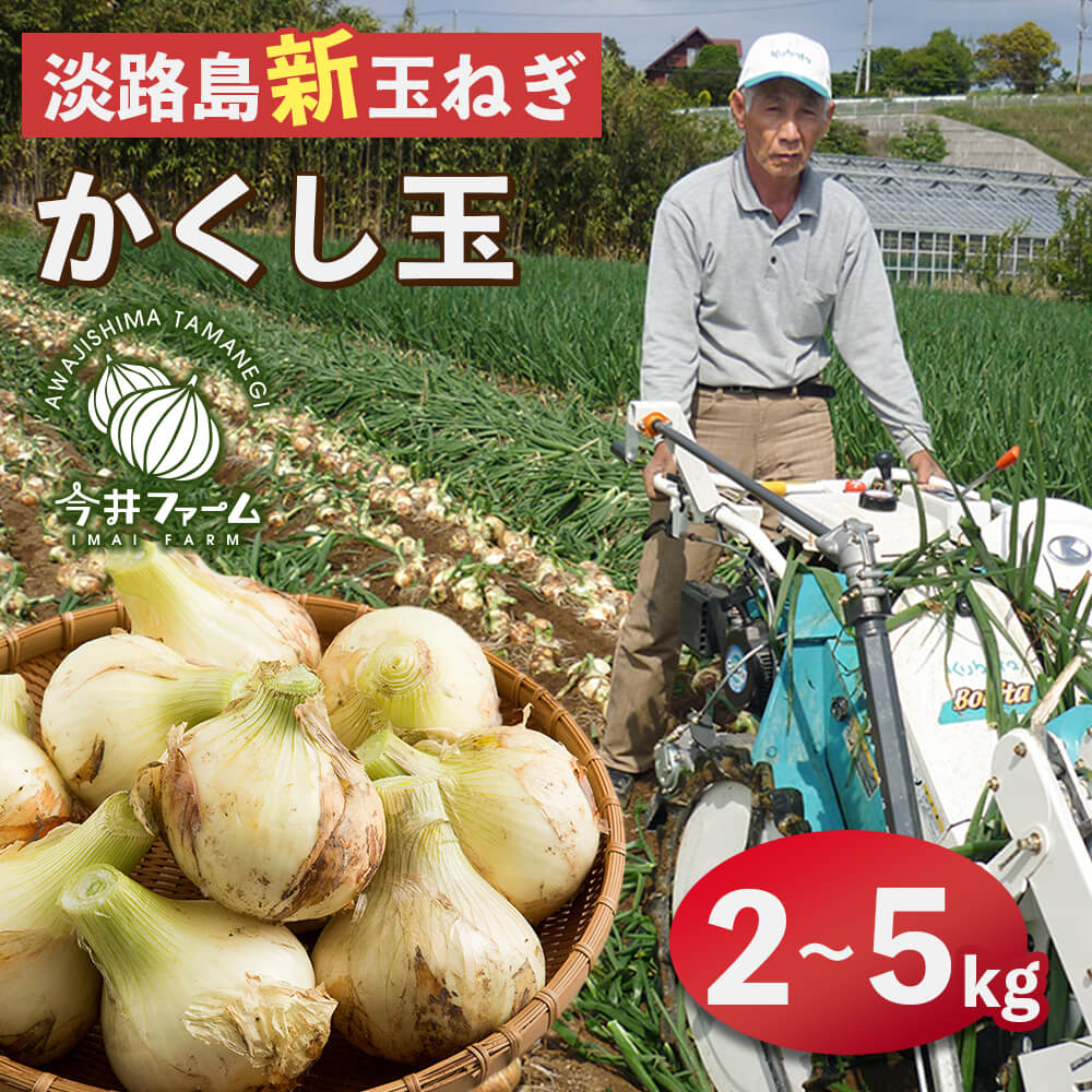 【ふるさと納税】【新たまねぎ】今井ファームの淡路島たまねぎ「かくし玉」 2kg～5kg【発送時期：2026年4月下旬〜5月頃】 新玉ねぎ 玉葱 人気