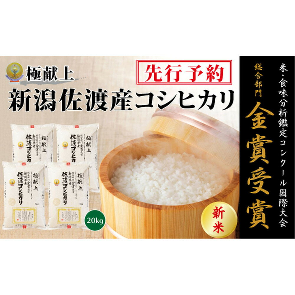 【ふるさと納税】【令和7年産新米】金賞受賞　新潟県佐渡産コシヒカリ　20kg(5kg×4) | お米 こめ 白米 食品 人気 おすすめ 送料無料