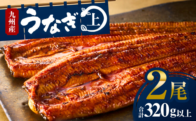 九州産 うなぎ蒲焼 2尾 (計320g＆さんしょう、たれ付き) 国産 九州産 惣菜 小分け ギフト セット 人気 おすすめ 鰻 冬うなぎ 鰻楽