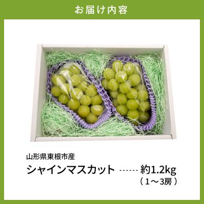 ふるさと納税 東根市 【2026年産】東根市産 シャインマスカット 約1.2kg (1〜3房) hi074-013 |  | 01