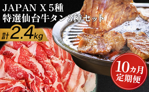 『定期便：10ヶ月』JAPAN X5種と特選仙台牛タン3種 2.4kg【塩・味噌・醤油・ロース・肩ロース・豚バラ・豚モモ・小間】【04160】
