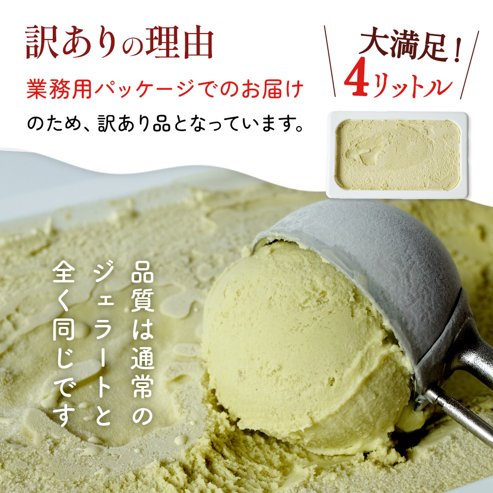【訳あり】 ジェラート 4L チョコチップ_イメージ2