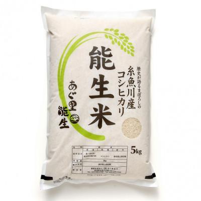 ふるさと納税 糸魚川市 能生米コシヒカリ 5kg 白米
