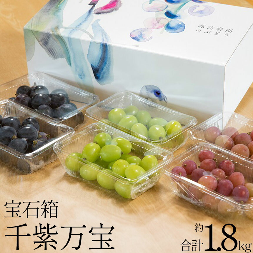 【ふるさと納税】【2025年先行予約】 ぶどう特選切出し粒「宝石箱・千紫万宝」 | 限定 送料無料 ぶどう 葡萄 白ぶどう 赤ぶどう 黒ぶどう ブラックビート クイーンニーナ シャインマスカット 果物 フルーツ デザート 栃木県 下野市