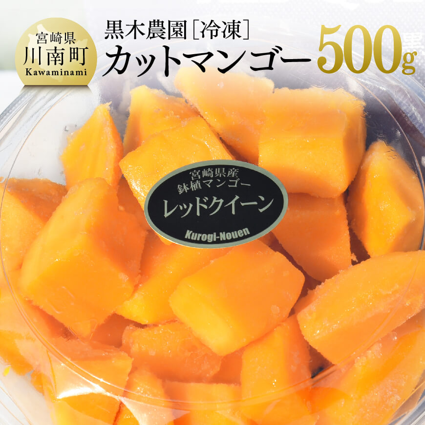 宮崎県産マンゴー　黒木農園の冷凍カットマンゴー（種なし）500g レッドクイーン マンゴー 果物 フルーツ スイーツ