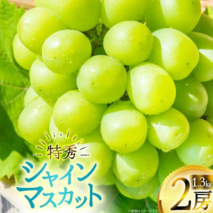 【期間限定発送】 シャインマスカット 特秀 2房 1.3kg [四釜昌和 山形県 高畠町 tk06ayt020005]