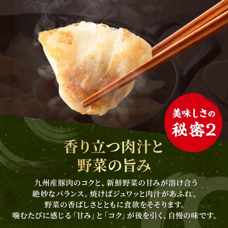 大刀洗 一口餃子 100個 特製たれ セット【ふるさと納税限定】 餃子_イメージ3