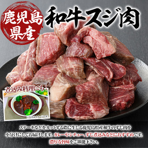 鹿児島県産和牛スジ肉 計750g(250g×3P) 黒毛和牛 牛肉 スジ【ビーフ倉薗】A801