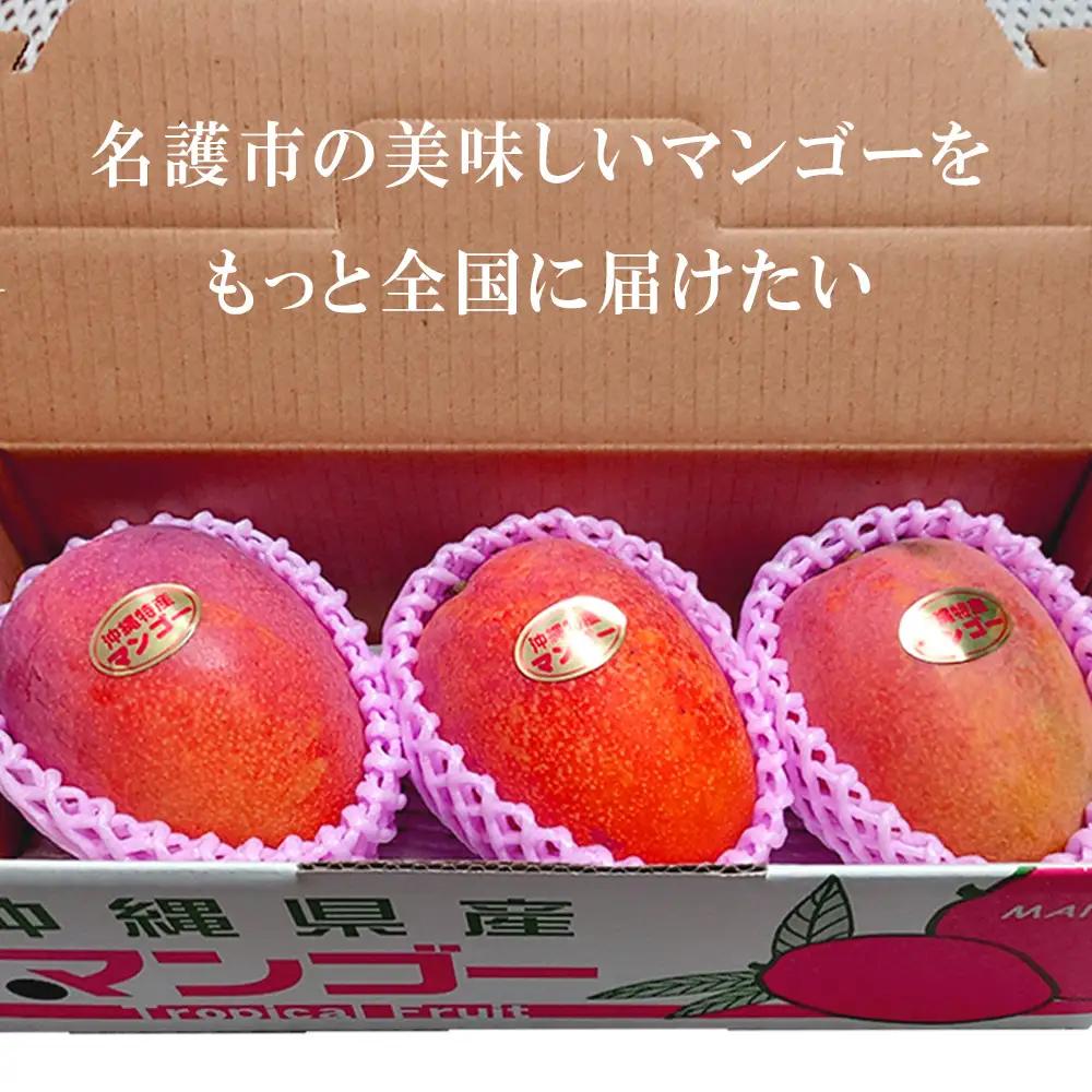 2027年発送【75マンゴー生産部会】 75（名護）マンゴー　約1kg