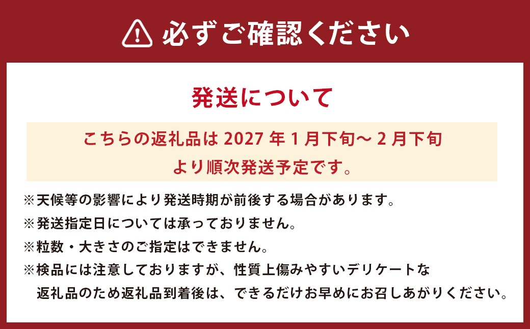  パール柑 【規格外品】ご家庭用 約4kg サイズ不選別