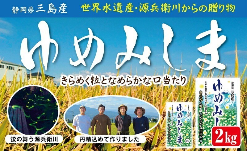 
            【令和7年産】 ゆめみしま 精米  2kg 三島米 新銘柄米『 ゆめみしま 』 粒形が特徴的 湧水育ち こめ 米 ごはん 白米 お米 グラウンドワーク アグリライフ三島 静岡県 三島市
          