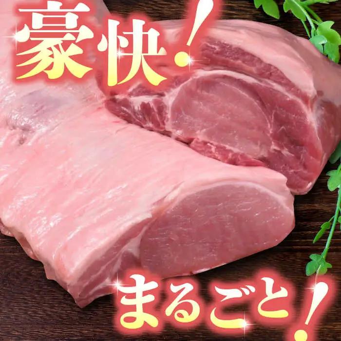【6回定期便】豚帝 リブ ロース＆ロース ブロック 約1kg【KRAZY MEAT(小田畜産)】 [ZCP069]