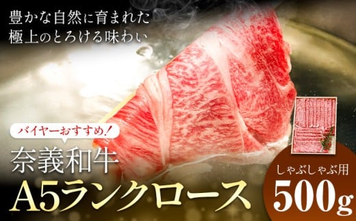 奈義和牛 A5ランクロース バイヤーおすすめ！ しゃぶしゃぶ用 500g 株式会社 天満屋《30日以内に出荷予定(土日祝除く》岡山県 笠岡市 和牛 牛肉 肉 A5ランク しゃぶしゃぶ 送料無料
