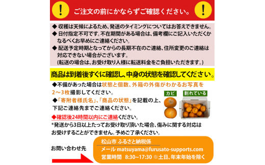 【せとか】秀~優品 約 2.8kg ＜2026年2月~3月頃発送＞ 食べくらべ 愛媛 みかん 先行予約 蜜柑 柑橘 果物 くだもの フルーツ お取り寄せ グルメ 期間限定 数量限定 人気 おすすめ 愛