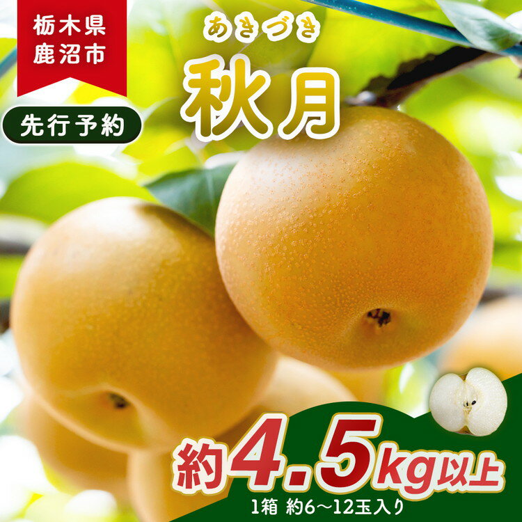 【ふるさと納税】【先行予約】梨(秋月) 6玉～12玉入り×1箱 (4.5kg以上) ｜なし あきづき 和梨 果物 フルーツ デザート 先行予約 国産 栃木県 鹿沼市 ※2026年9月上旬～9月下旬頃に順次発送予定
