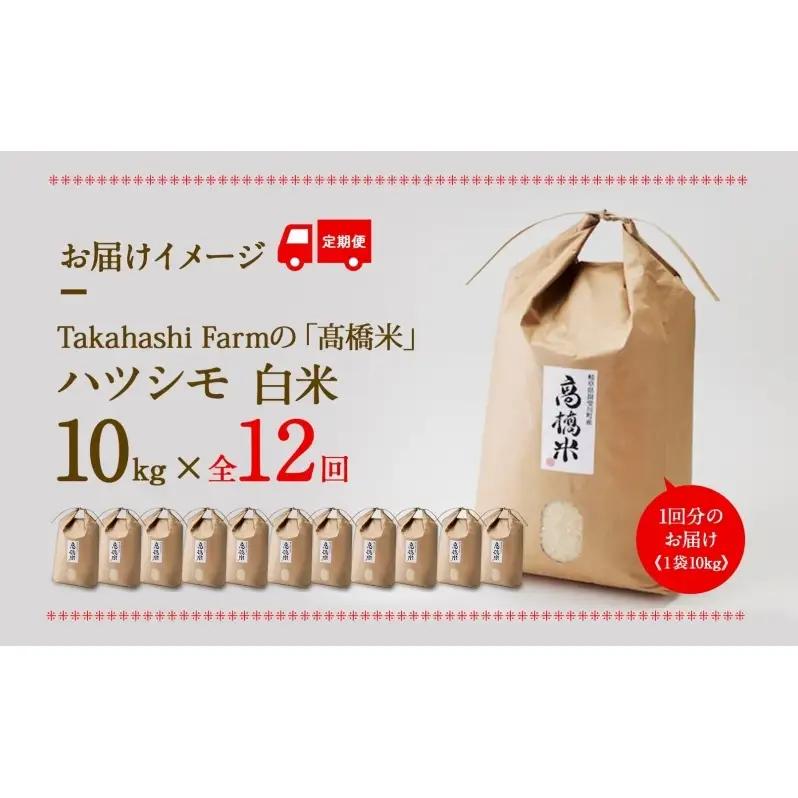 ＜ R8年産 先行予約 ＞定期便 全12回 米 ハツシモ 「高橋米」 白米 10kg×1袋 令和8年産 10キロ お米 精米 ご飯 はつしも ブランド米 大粒 炊飯 お弁当 ふっくら お取り寄せ 送料