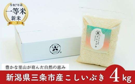 【新潟産米】 新潟県産こしいぶき 4kg（2kg×2） 新潟産1等米 2025年産 三条市保内産 新潟産精米 新潟産白米 令和7年産 新潟産米 【014S165】