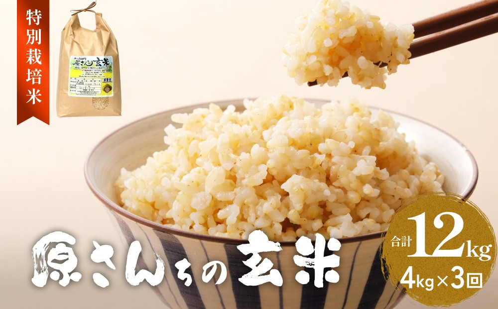 
            《先行予約》令和7年度産 原さんちの玄米 4kg 3種の中からいずれか1種お届け ひとめぼれ ヒノヒカリ にこまる 3ヶ月 定期便 ひとめぼれ 有機質肥料 特別栽培米 原農園 完熟堆肥 アートテン農法 抗酸化農法 有効微生物農法 光合成 体に良い 美味しい お米 安全 清潔 環境に優しい 栄養価 高品質 産地直送 健康志向 農産物
          