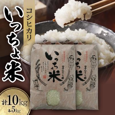 ふるさと納税 美作市 コシヒカリ　いっちょ米(5kg×2袋)