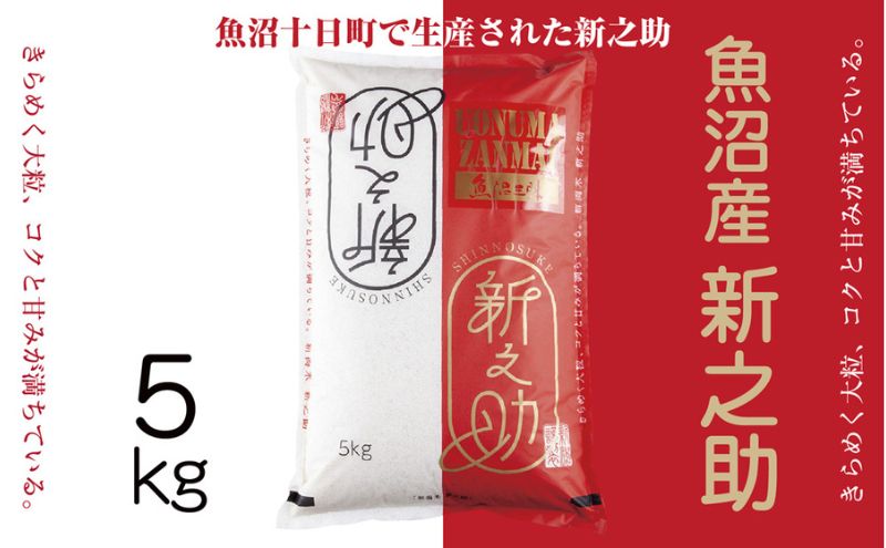 令和7年産 魚沼産 新之助 5kg 米 お米 コメ プレミアム米 新潟 魚沼 魚沼産 白米 送料無料 新潟県産 精米 産直 産地直送 契約農家 お取り寄せ 魚沼三昧 川治米店 新潟県 十日町市 大粒 甘み 