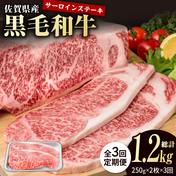 【3回定期便】佐賀県産 黒毛和牛 贅沢 サーロインステーキ 200g×2枚（計400g）【株式会社いろは精肉店】/黒毛和牛 和牛 牛肉 肉 お肉 贅沢 高級 ステーキ サーロイン[IAG099]