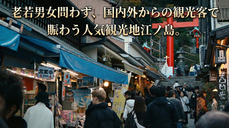  あさひ本店 お試し セット せんべい たこせんべい 海老せんべい 青のせんべい しらす 海鮮 あさひ 本店 丸焼き 人気 行列 店 江の島 江ノ島 片瀬 職人 藤沢名物 手土産 鉄板焼き 通販 お取