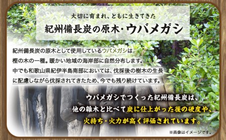 紀州備長炭 馬目小丸 約5kg　炭