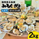 【ふるさと納税】みるくがき2kg（25個前後）◆生食可 から付き 活牡蠣 ≪糸島≫【豊久丸】ブランド/カキ/牡蛎 [AEJ004] 12000円